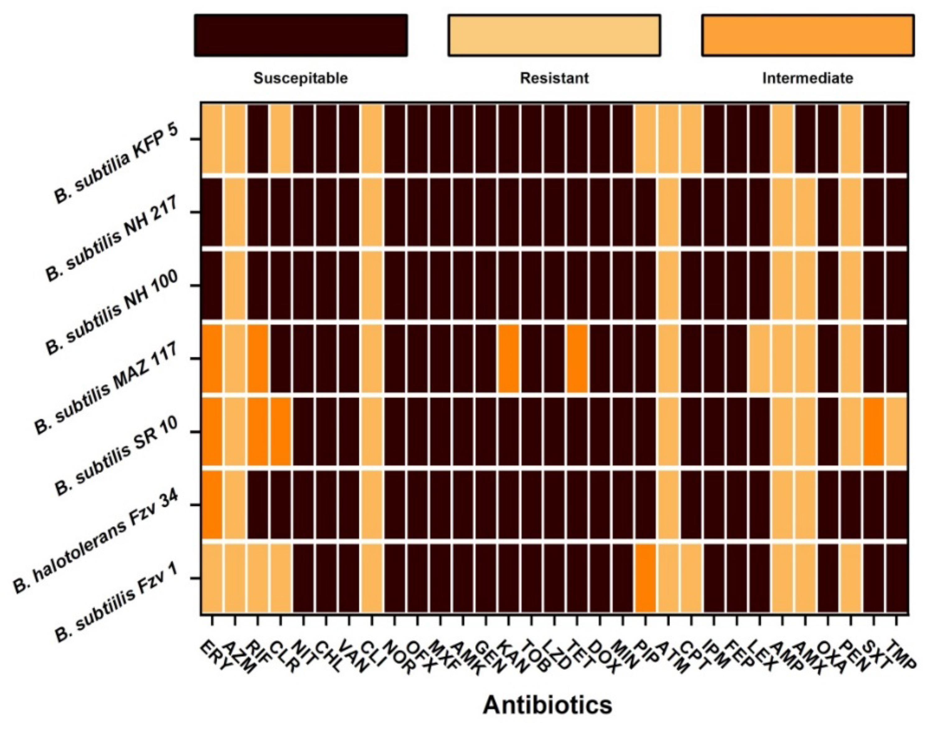Ijerph 19 14997 g001 Ijerph 19 14997 g001