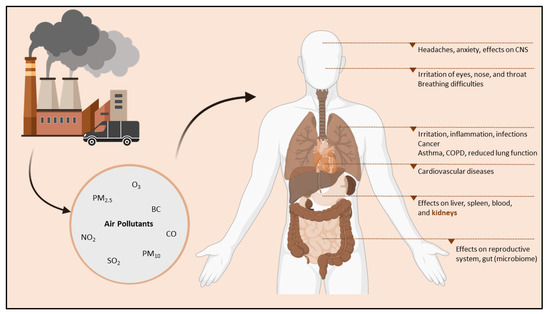 Ijerph 19 15050 g002