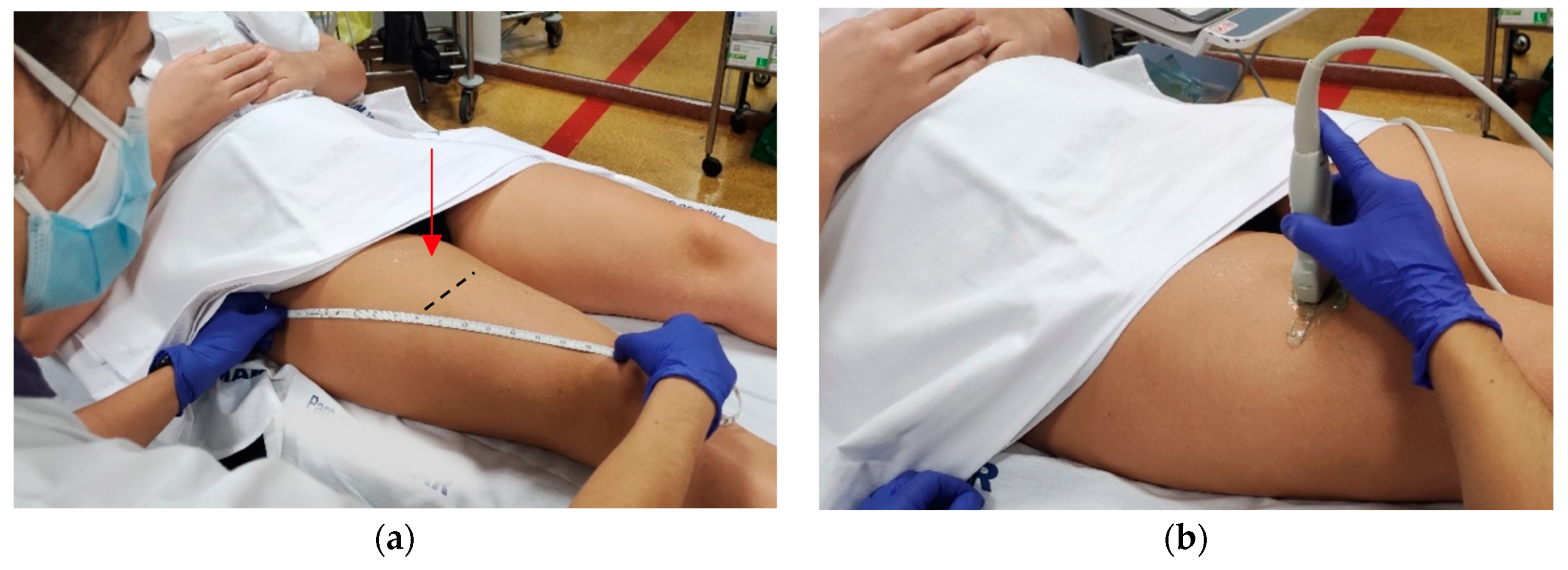 Ijerph 19 15150 g002