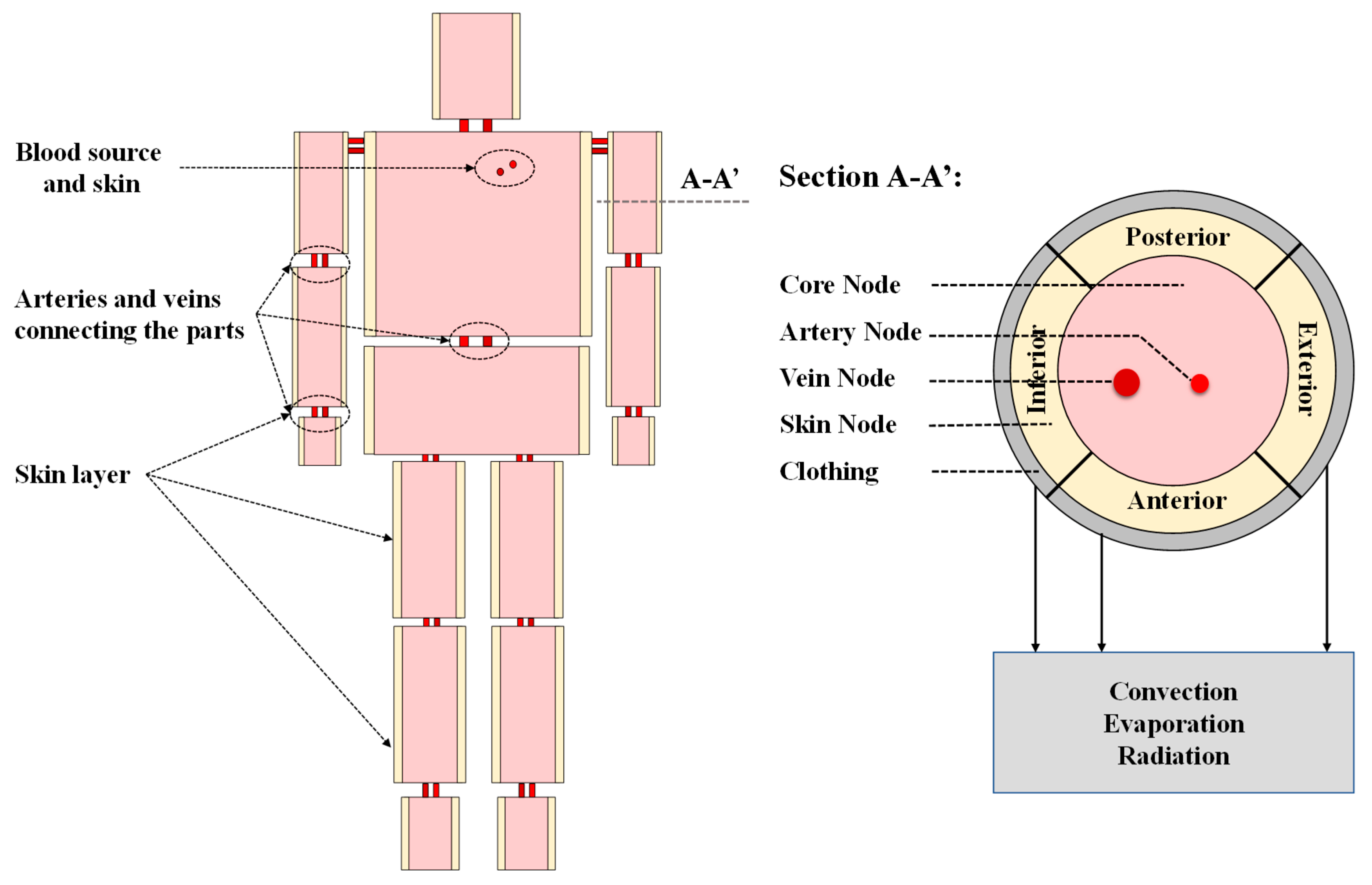 Ijerph 19 15259 g001