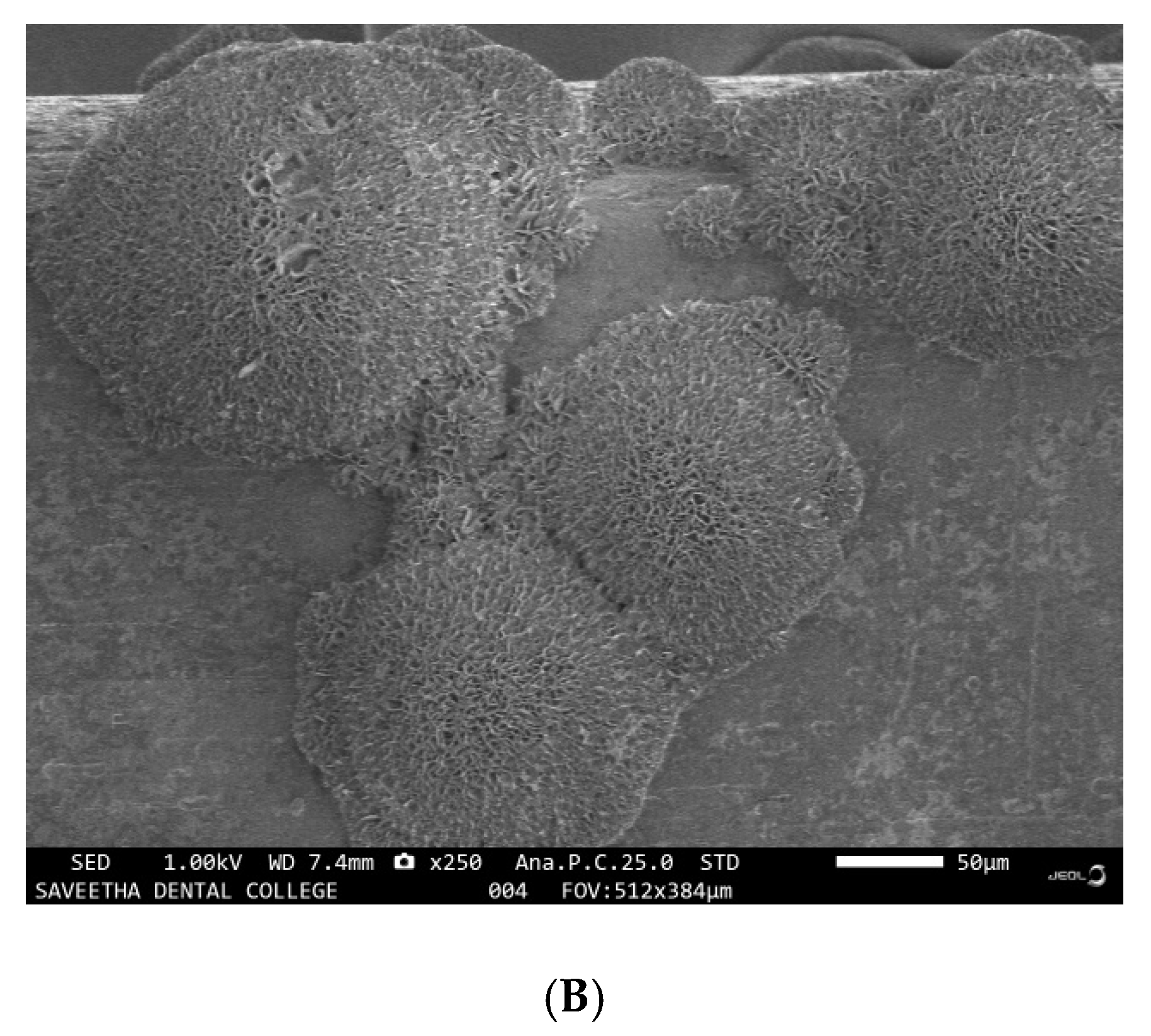 Ijerph 19 15312 g001b