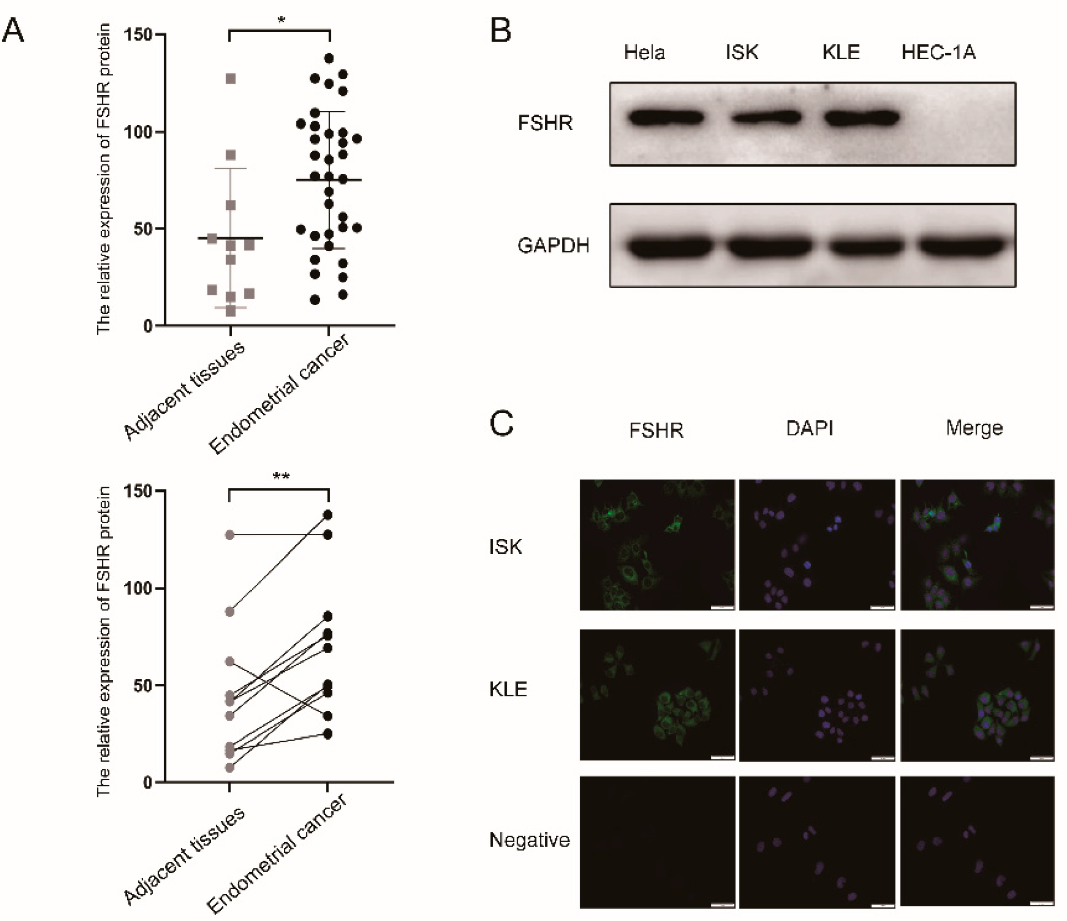 Ijerph 19 15344 g001 Ijerph 19 15344 g001