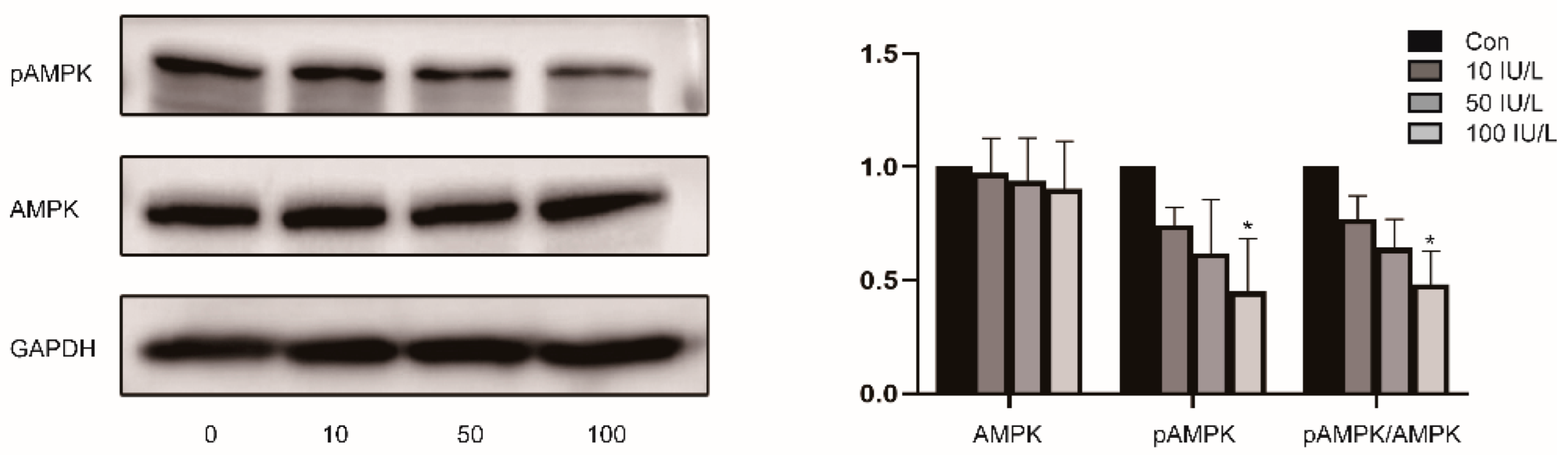 Ijerph 19 15344 g003 Ijerph 19 15344 g003