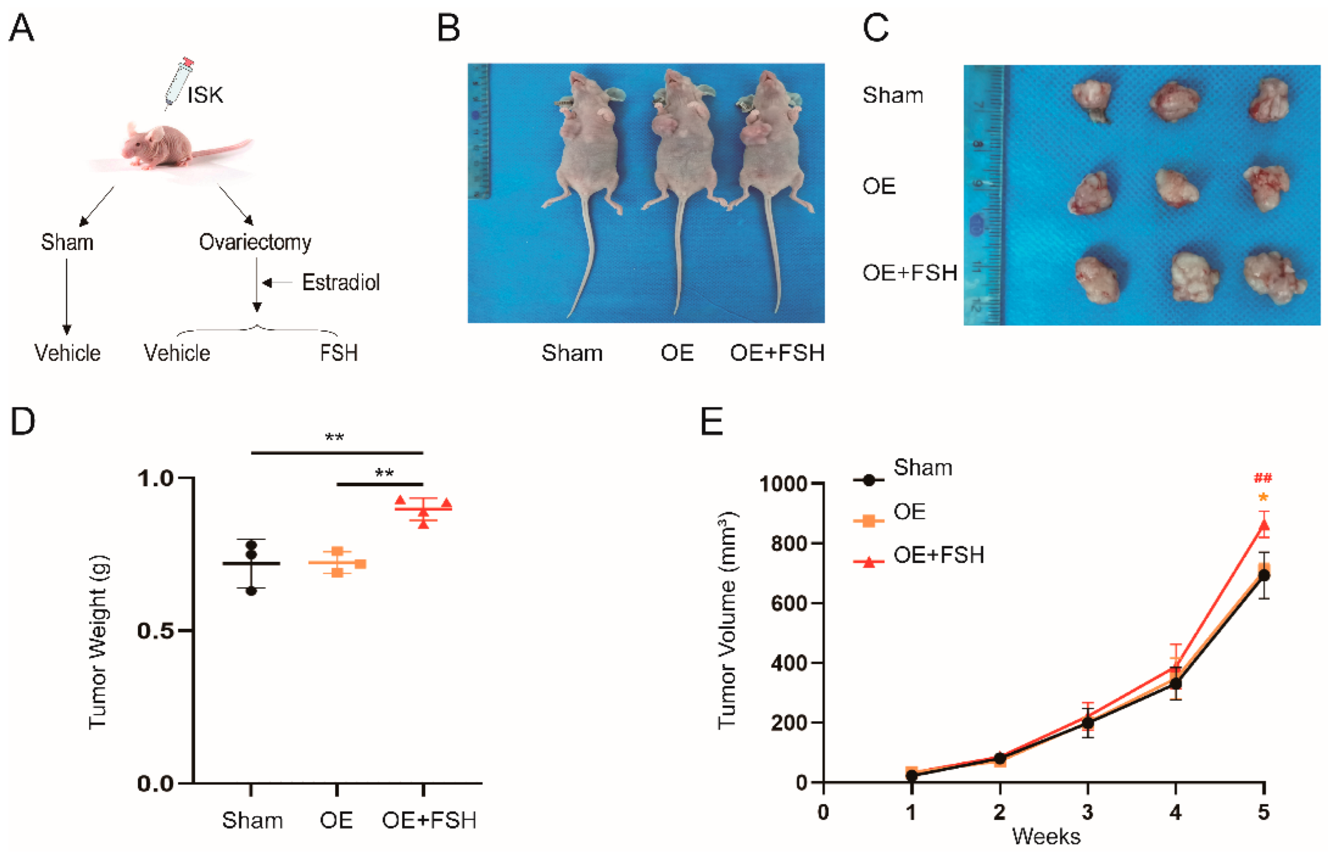 Ijerph 19 15344 g004 Ijerph 19 15344 g004
