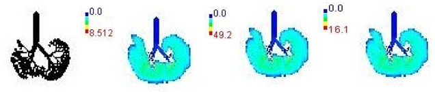 Ijerph 19 15387 i001