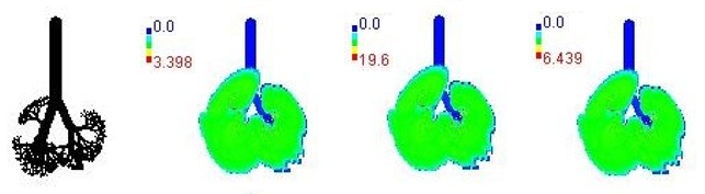 Ijerph 19 15387 i005