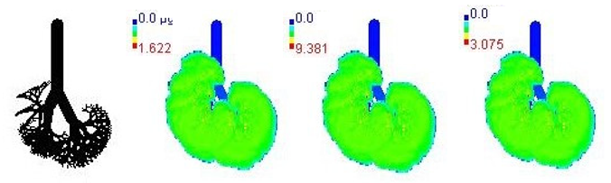 Ijerph 19 15387 i007