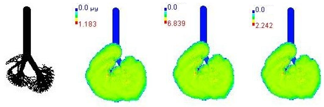 Ijerph 19 15387 i008