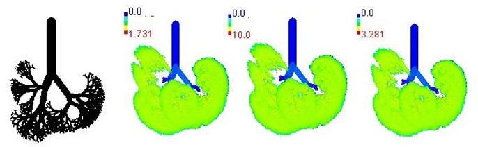 Ijerph 19 15387 i009