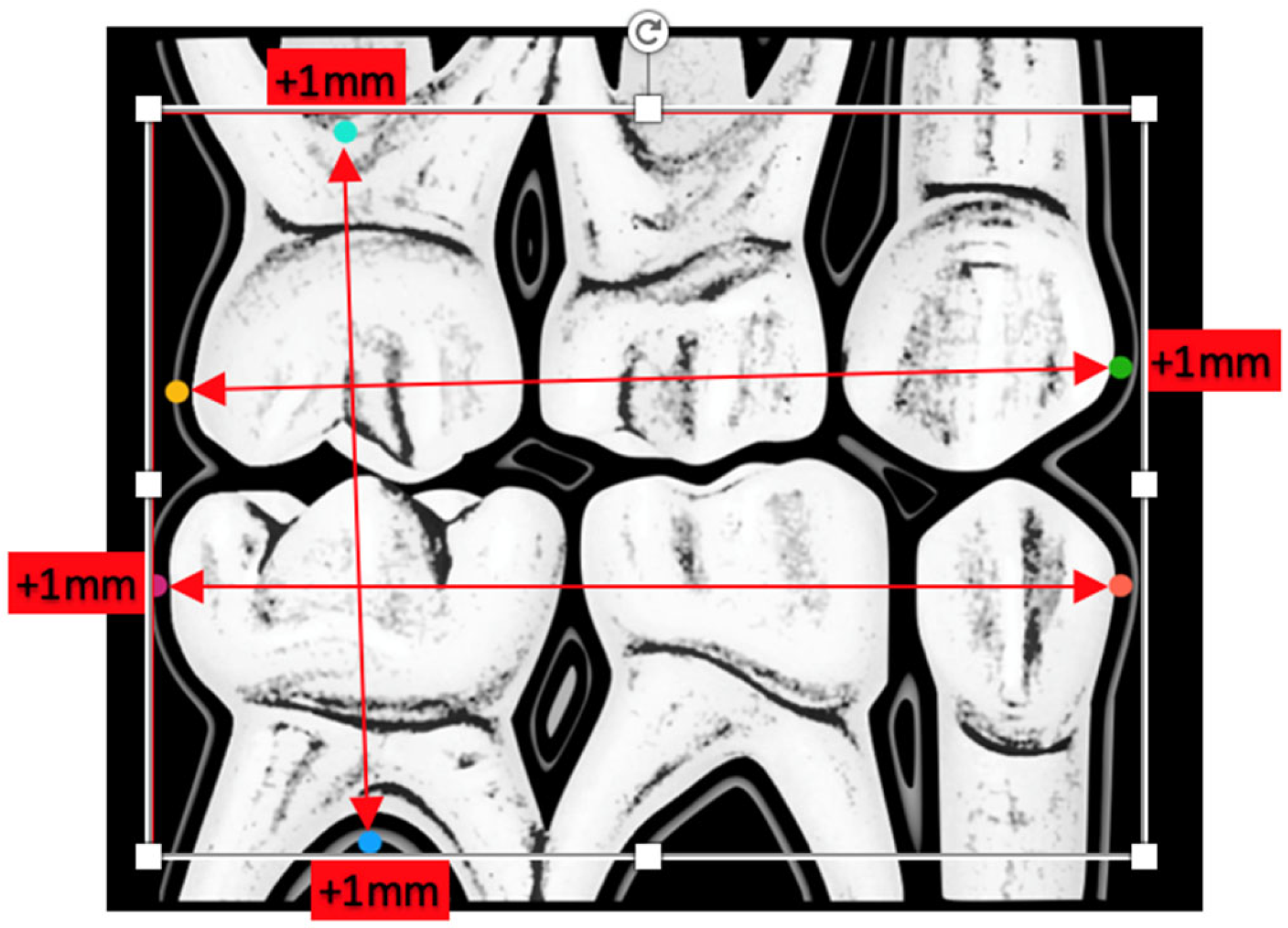 Ijerph 19 15413 g001