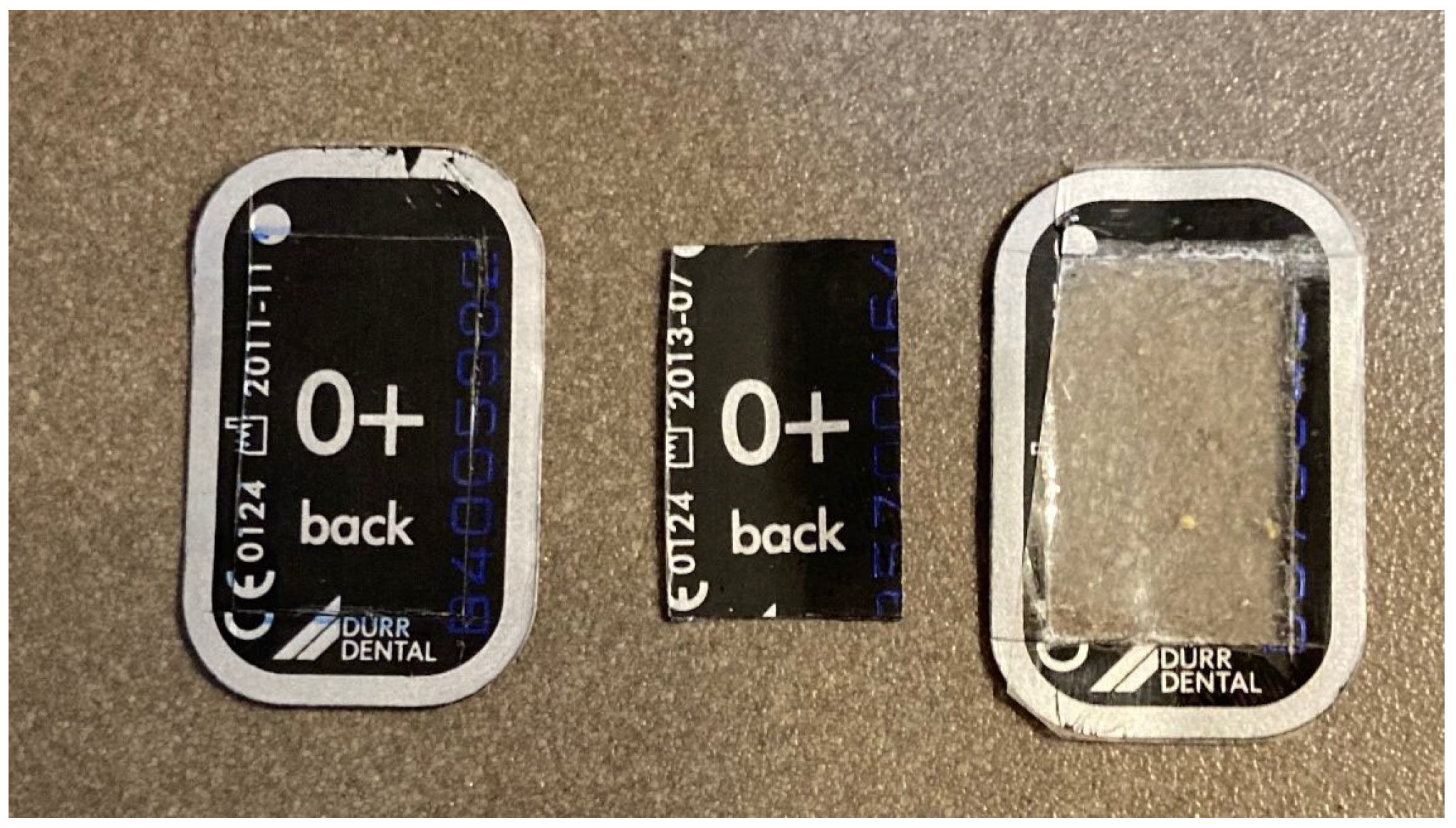 Ijerph 19 15413 g002