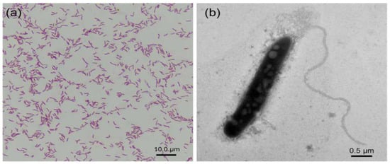 Ijerph 19 15416 g001