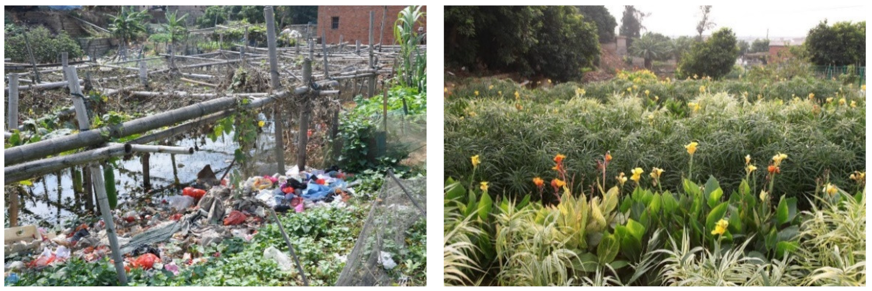 Ijerph 19 15440 g008