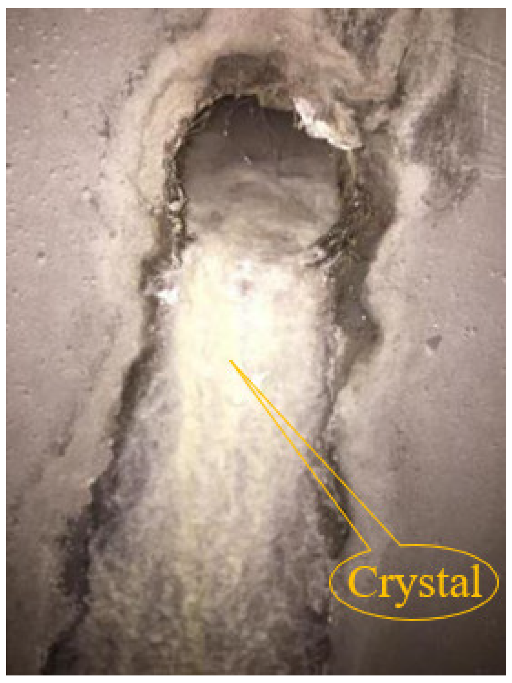 Ijerph 19 15471 g002