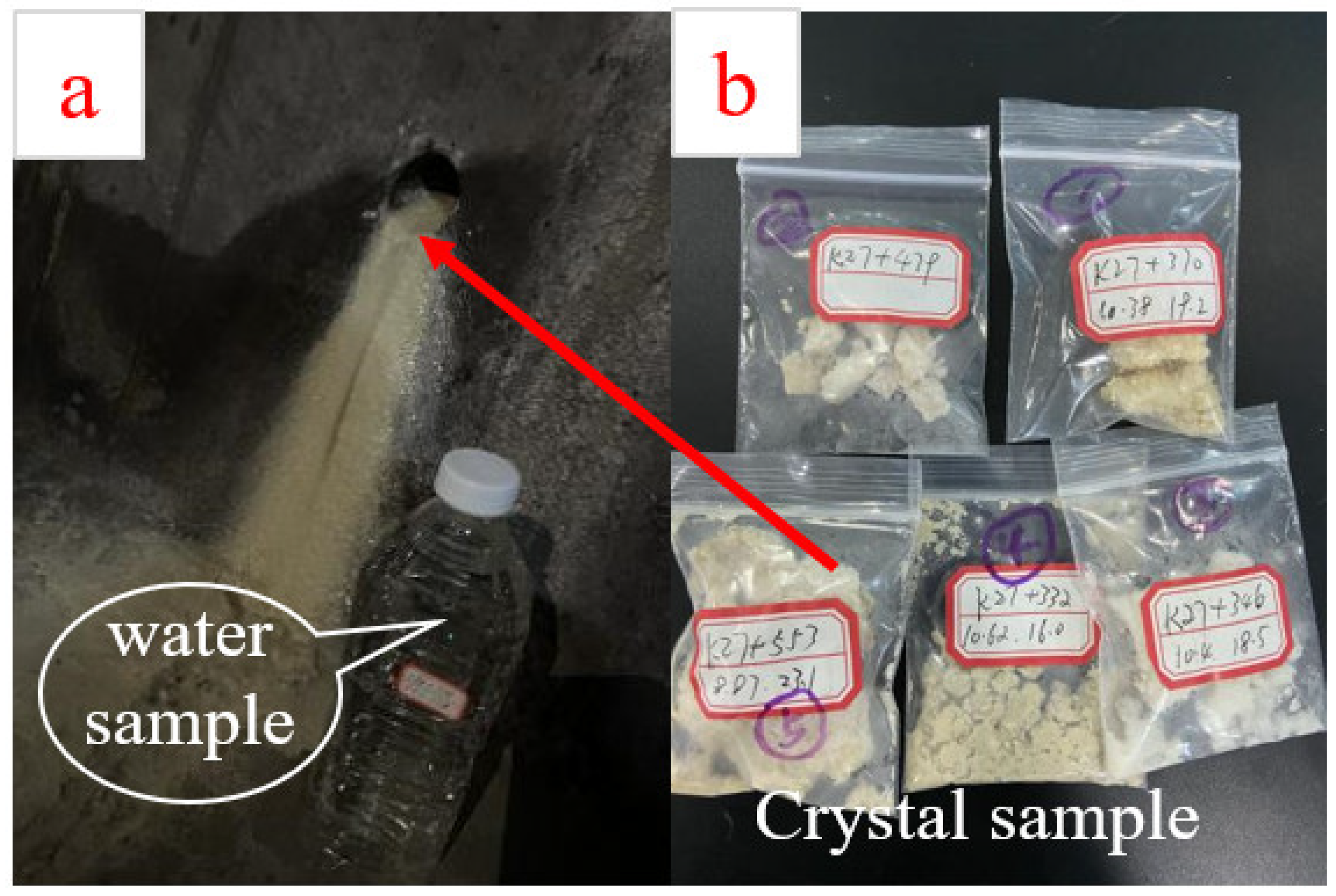 Ijerph 19 15471 g003