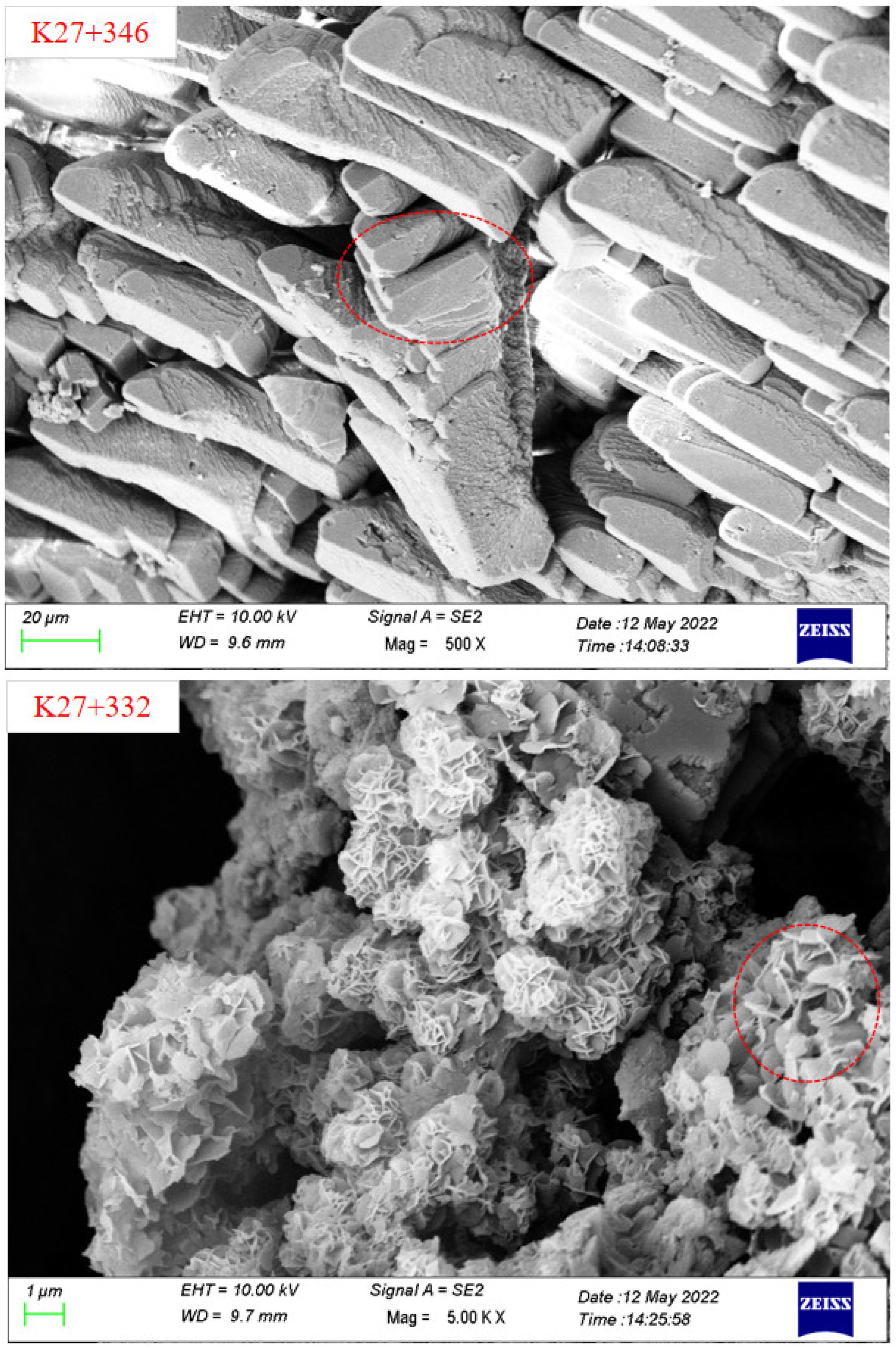 Ijerph 19 15471 g004d