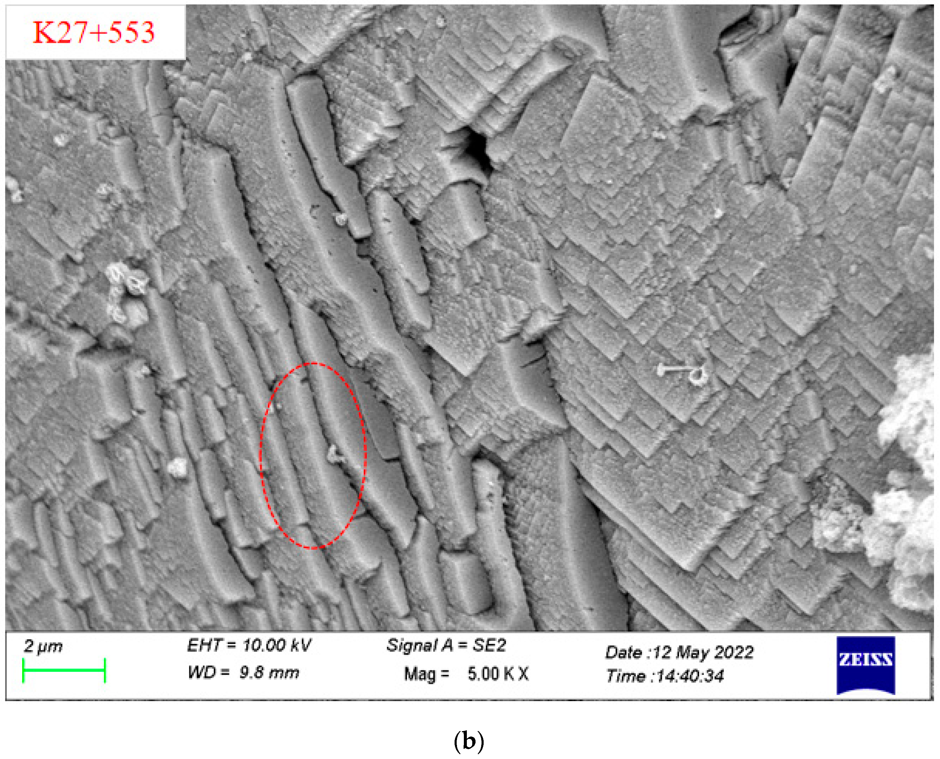 Ijerph 19 15471 g004e