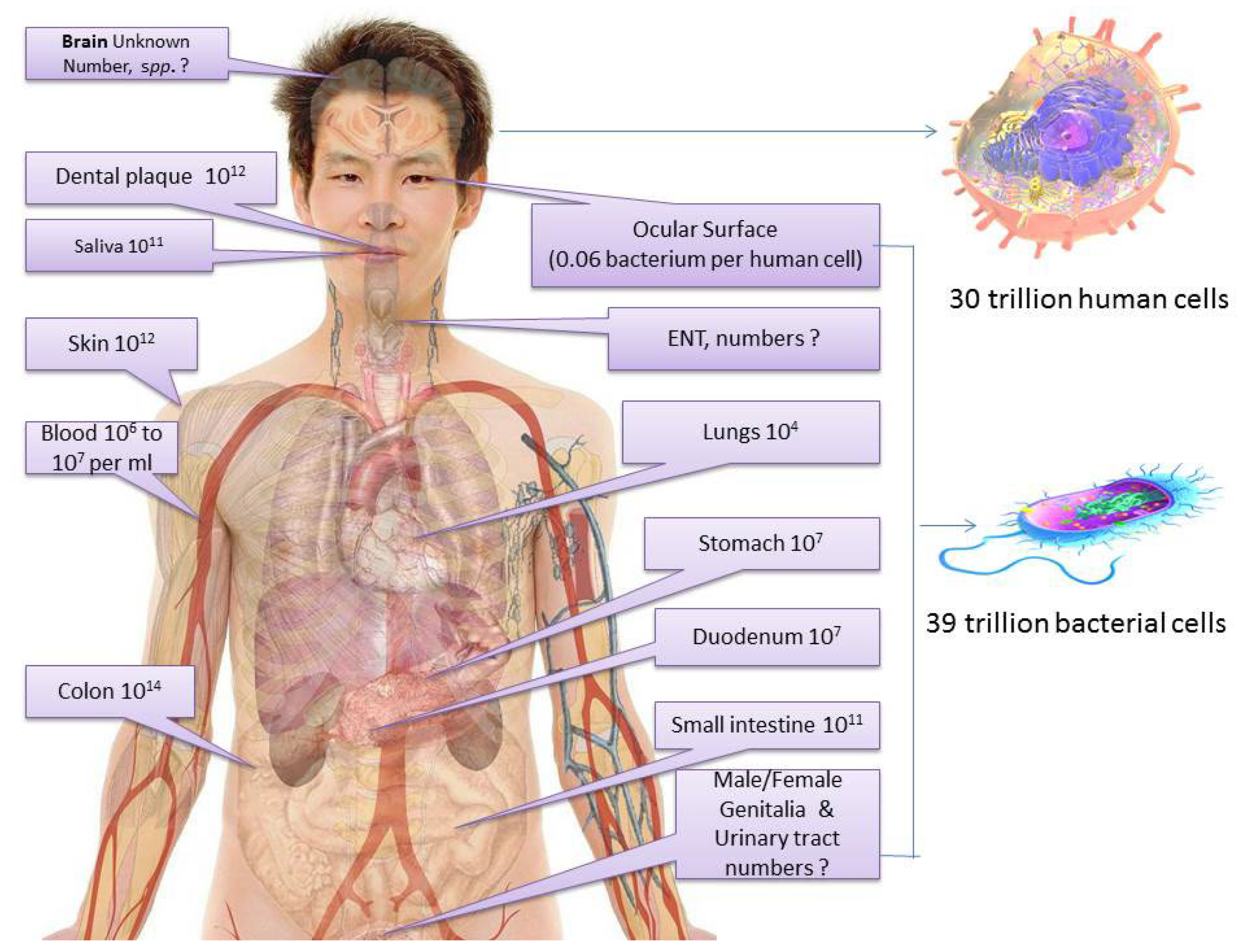 Ijerph 19 15494 g001