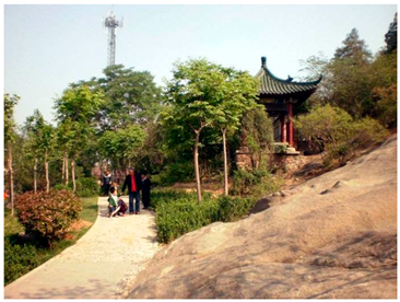 Ijerph 19 15504 i001