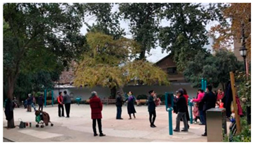 Ijerph 19 15504 i003