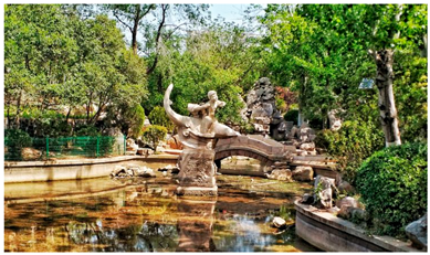 Ijerph 19 15504 i006