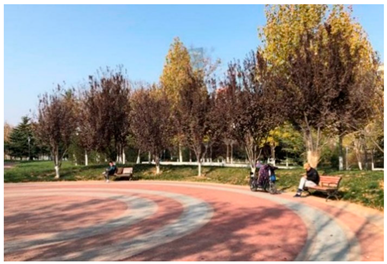 Ijerph 19 15504 i007