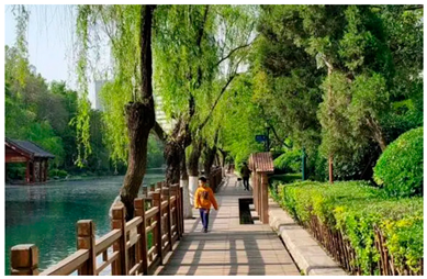 Ijerph 19 15504 i010