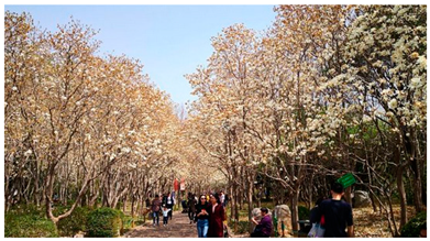 Ijerph 19 15504 i011