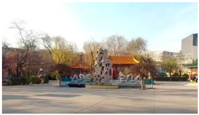 Ijerph 19 15504 i012