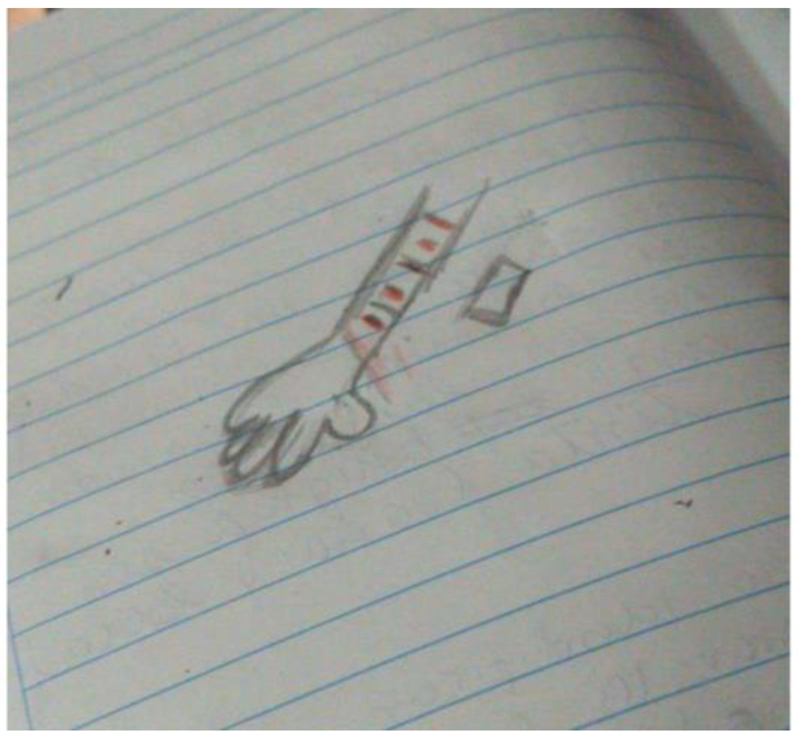 Ijerph 19 15517 g004 Ijerph 19 15517 g004