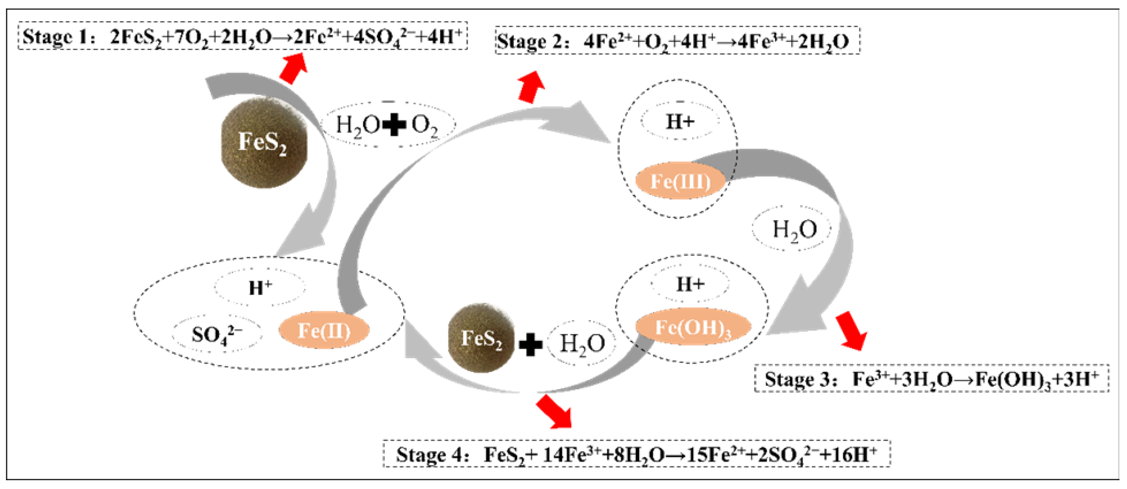 Ijerph 19 15554 g001