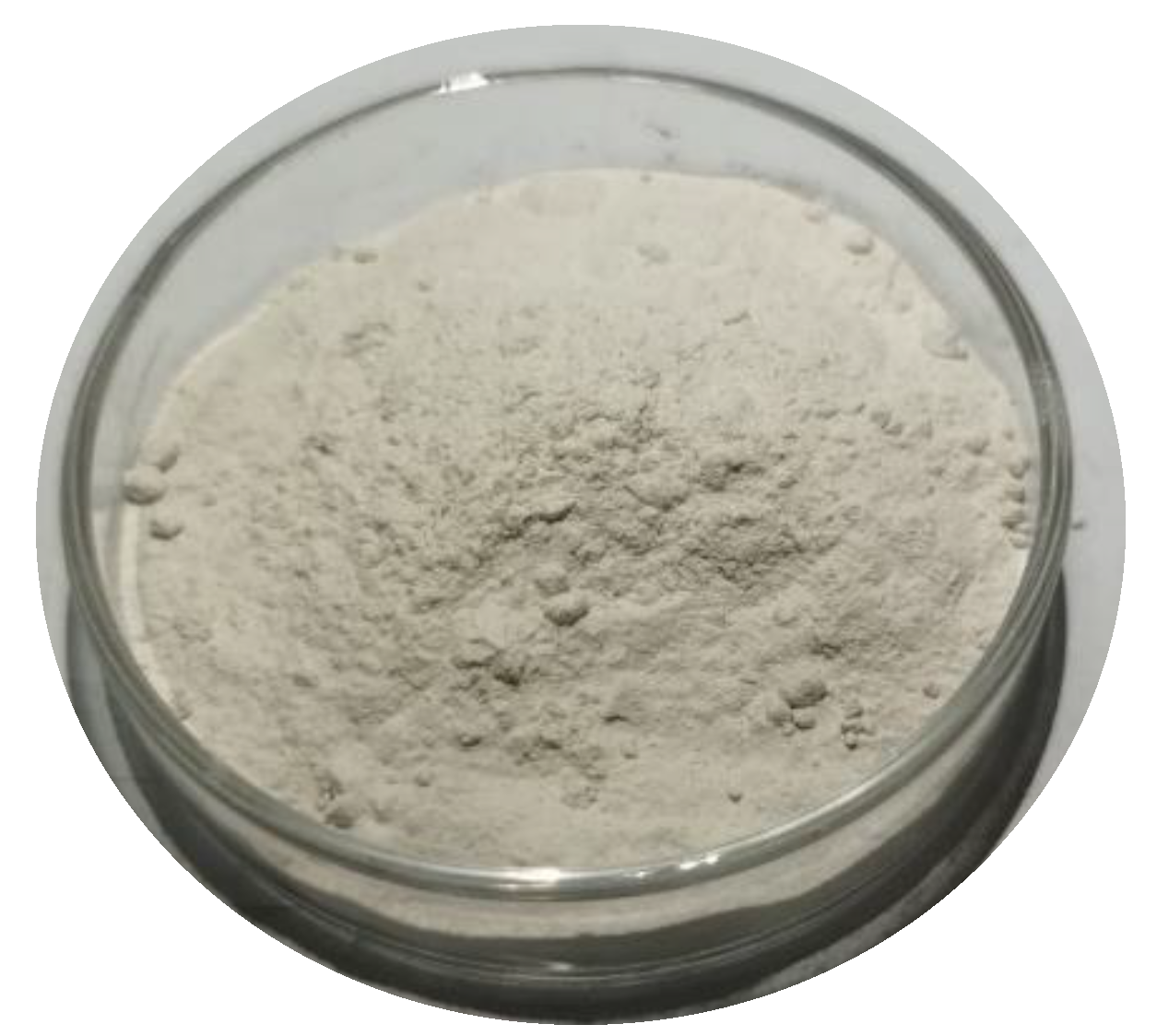 Ijerph 19 15554 g005