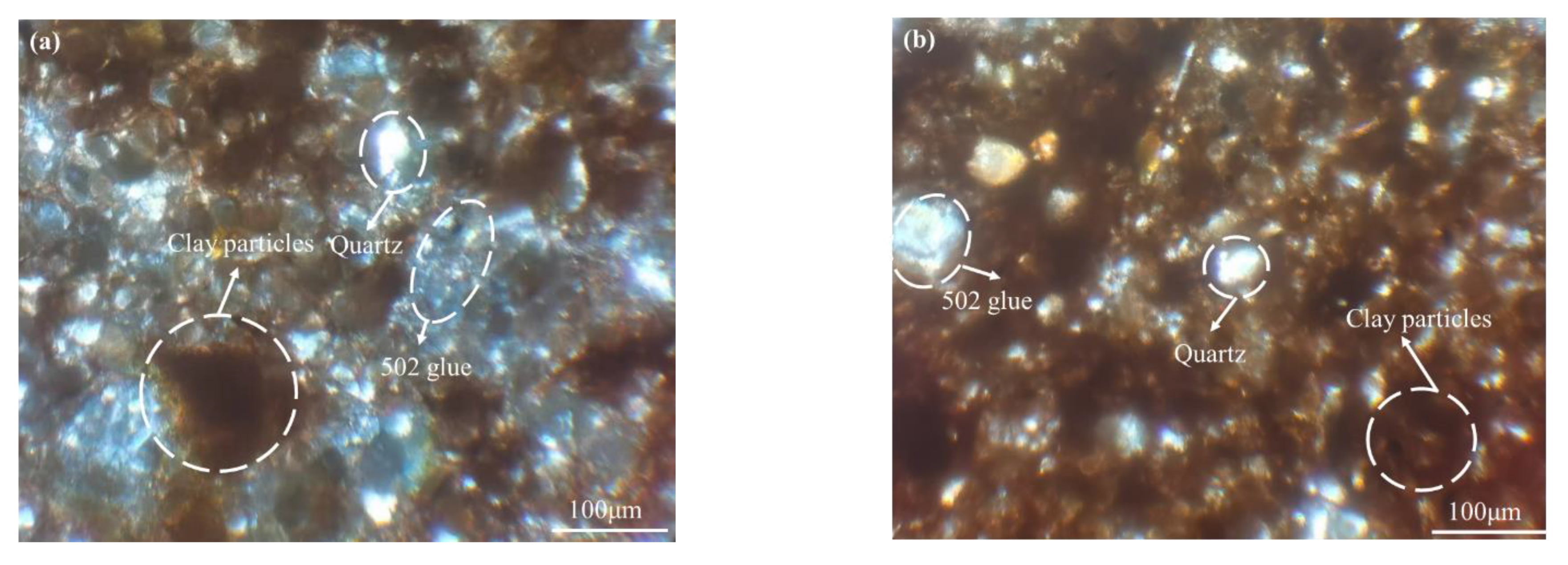 Ijerph 19 15554 g012