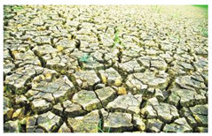 Ijerph 19 15554 i001