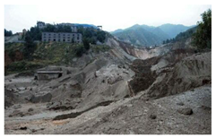 Ijerph 19 15554 i002