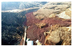 Ijerph 19 15554 i003