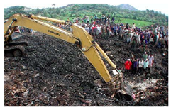 Ijerph 19 15554 i005