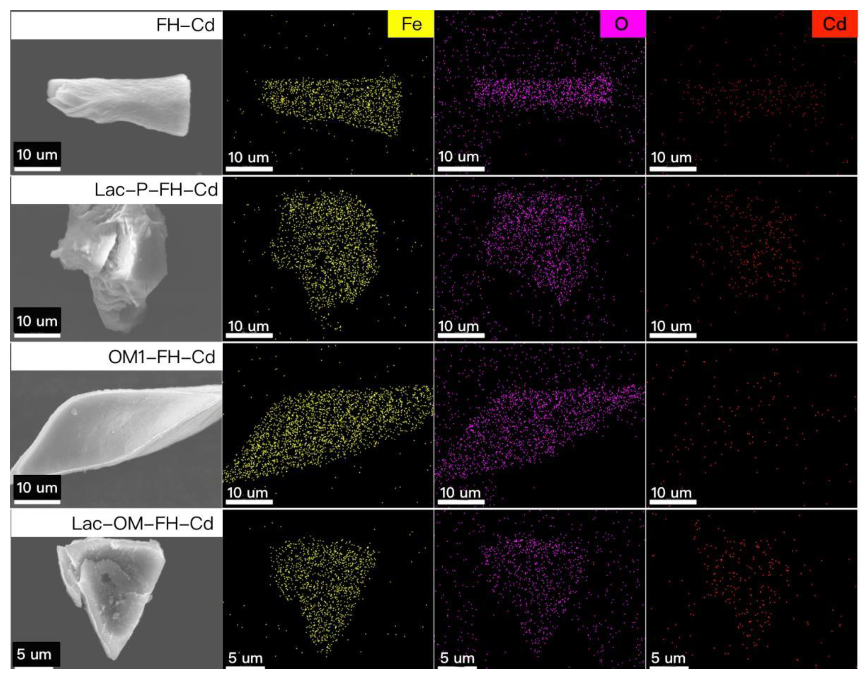 Ijerph 19 15650 g008