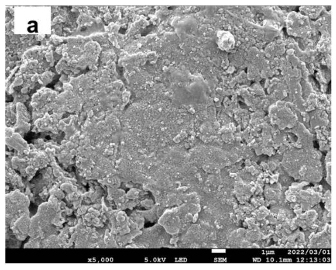 Ijerph 19 15736 g002a Ijerph 19 15736 g002a