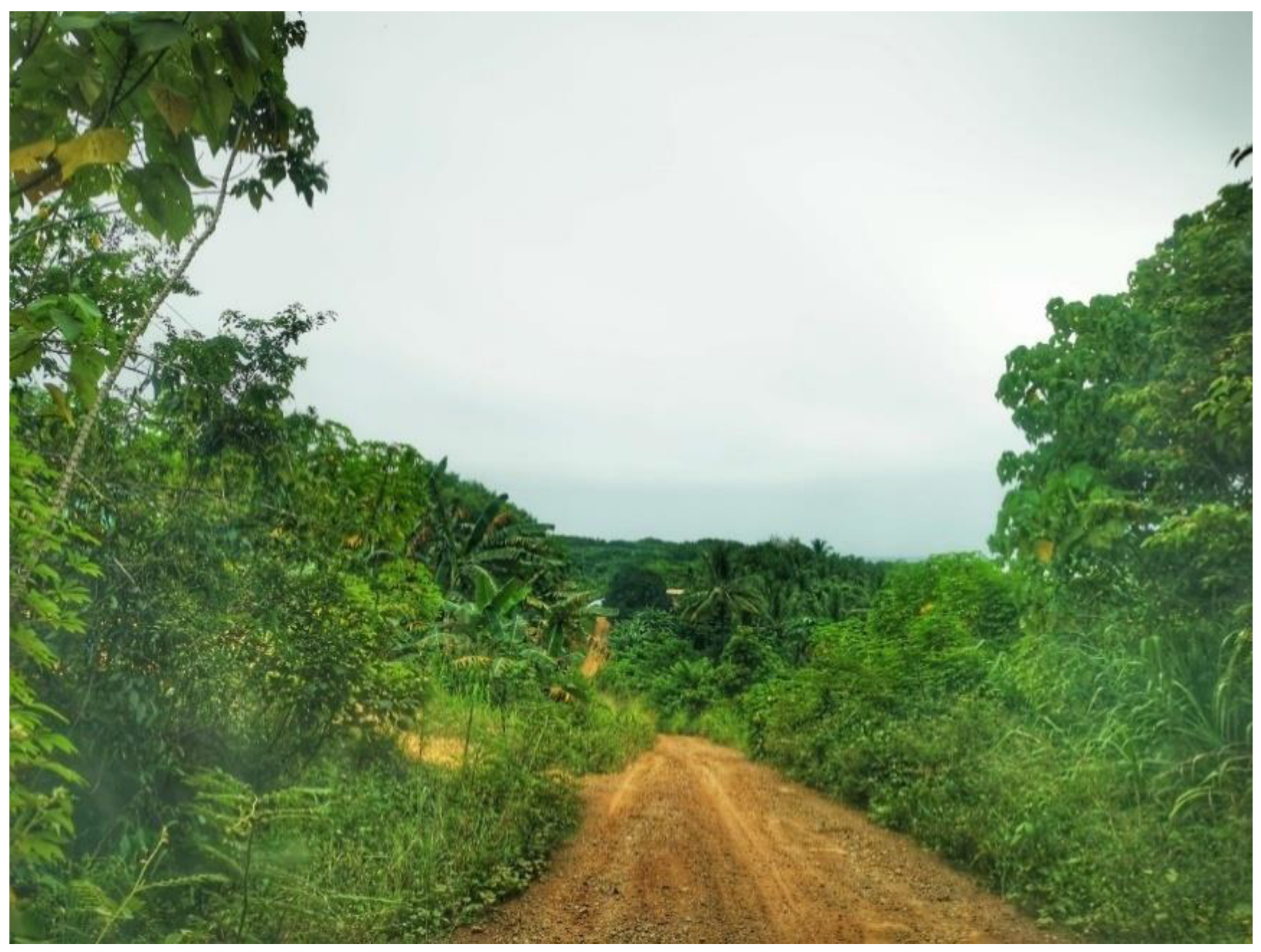 Ijerph 19 15764 g001