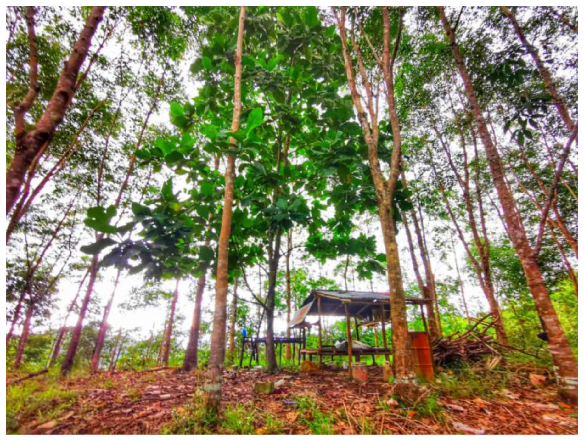 Ijerph 19 15764 g009