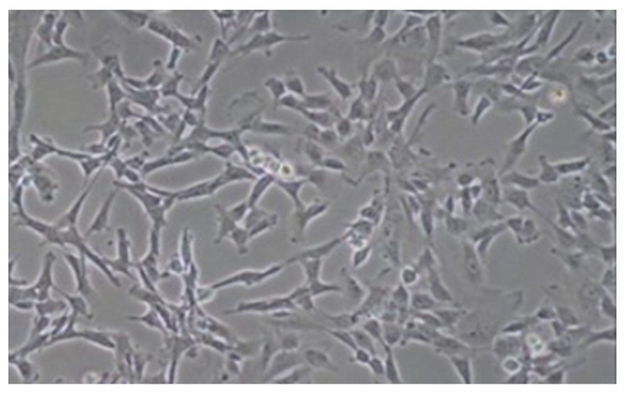 Ijerph 19 15786 g001