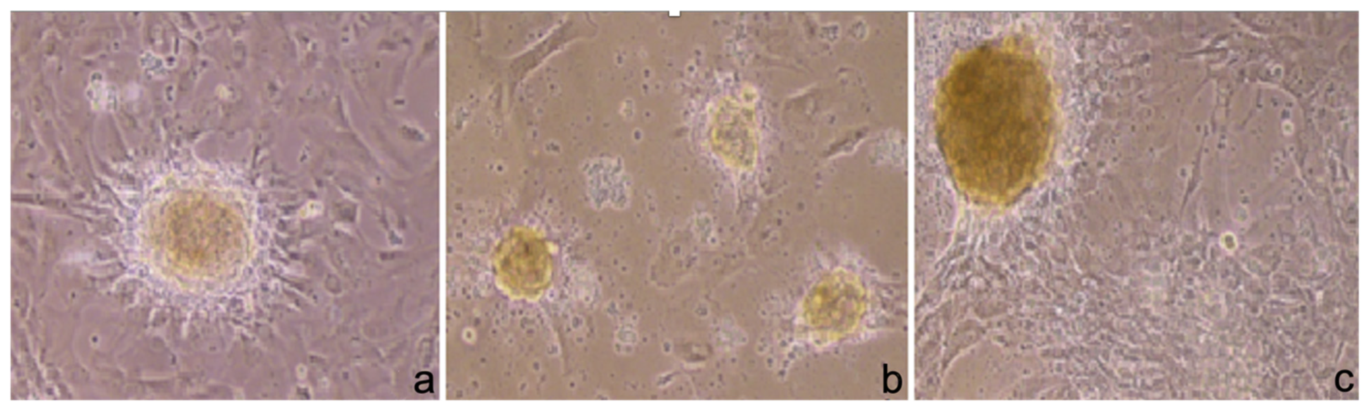 Ijerph 19 15786 g002