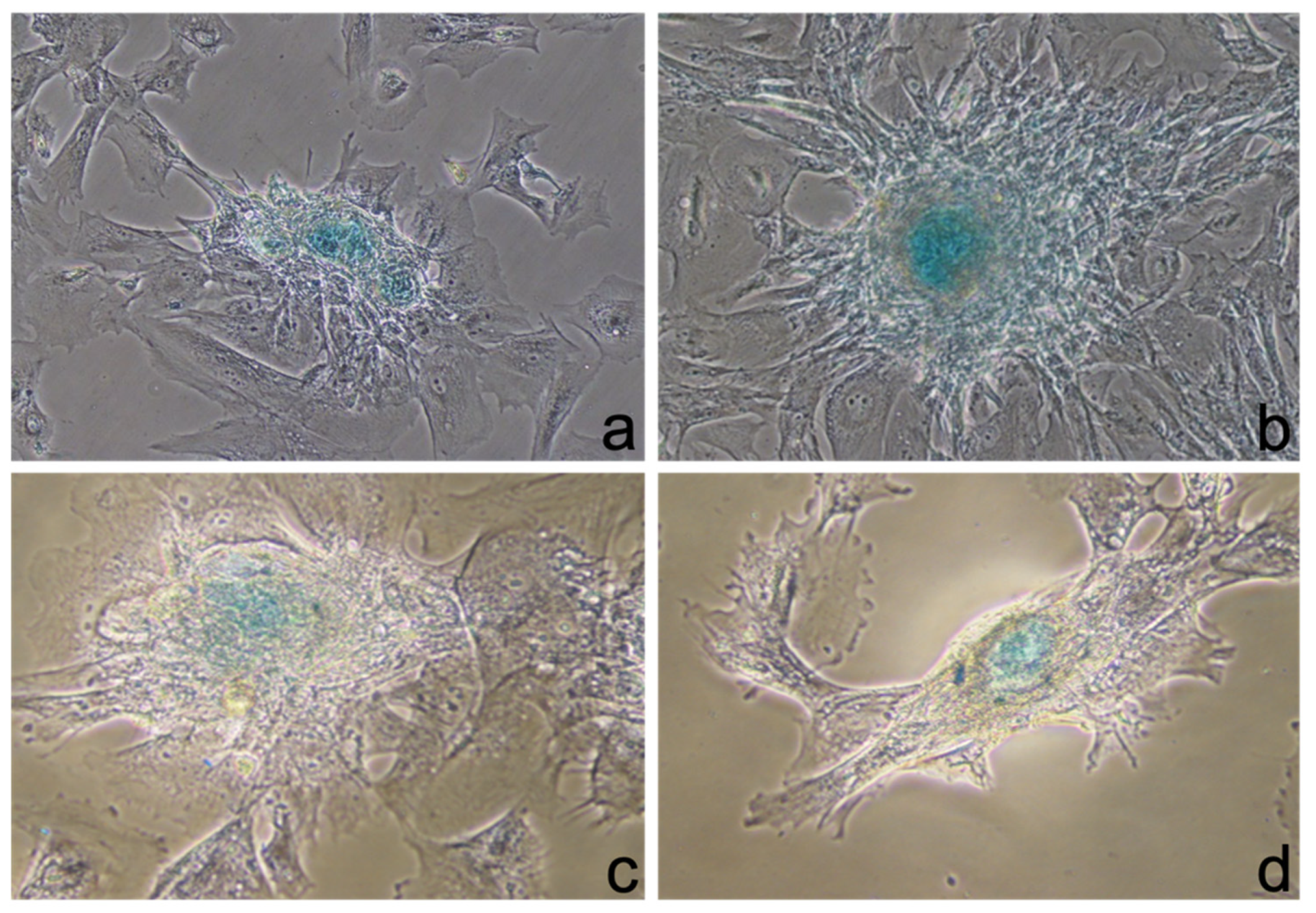 Ijerph 19 15786 g003