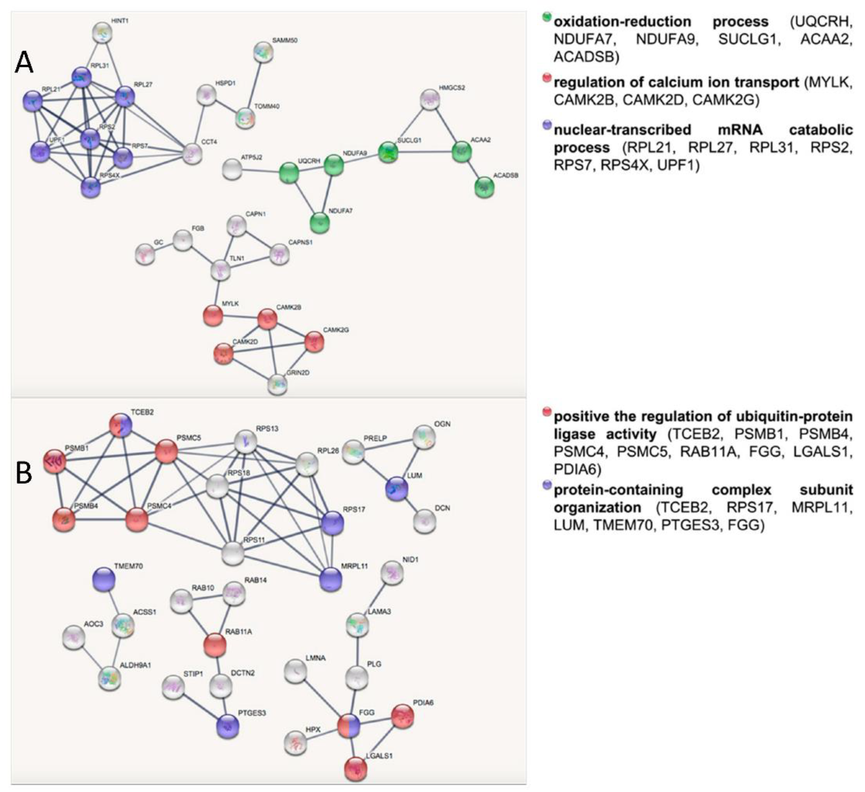 Ijerph 19 15835 g001