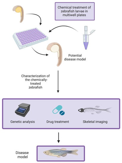 Ijerph 19 15866 g001 Ijerph 19 15866 g001