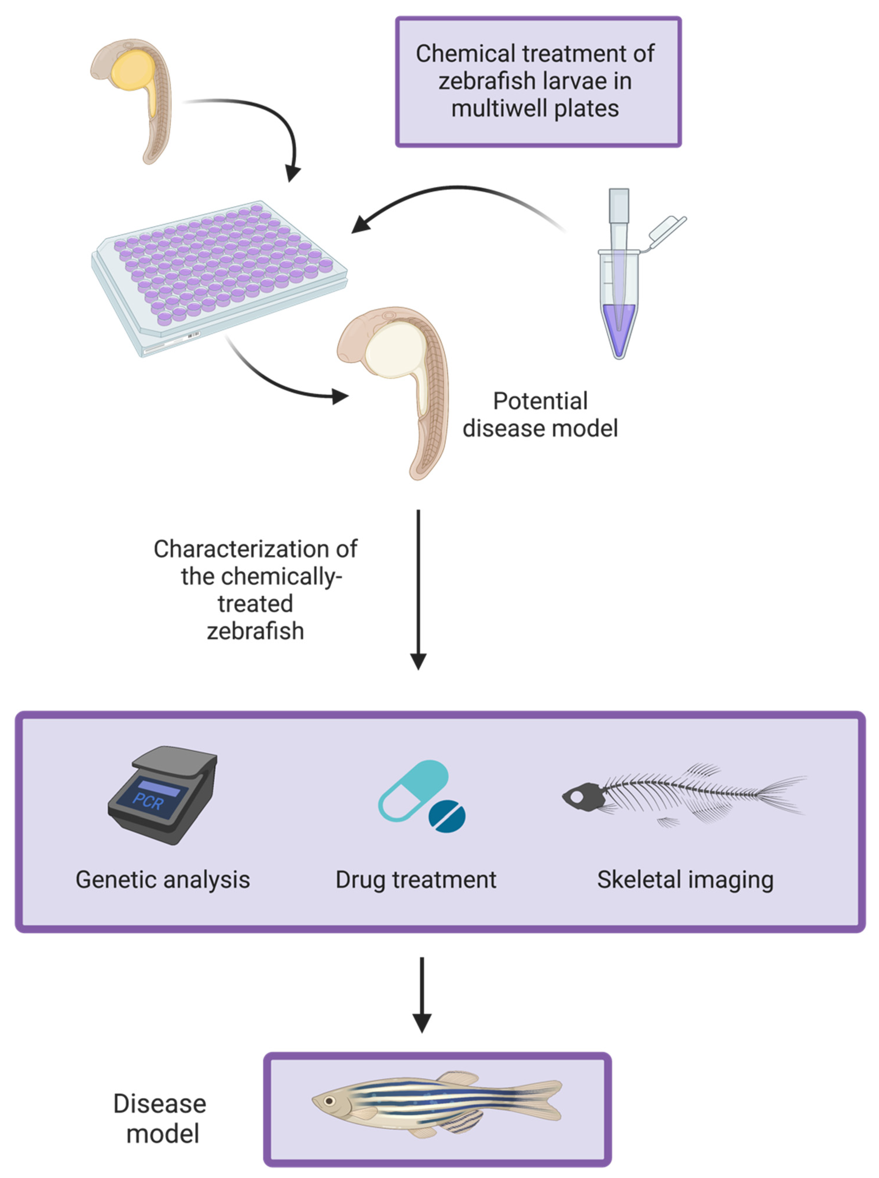 Ijerph 19 15866 g001