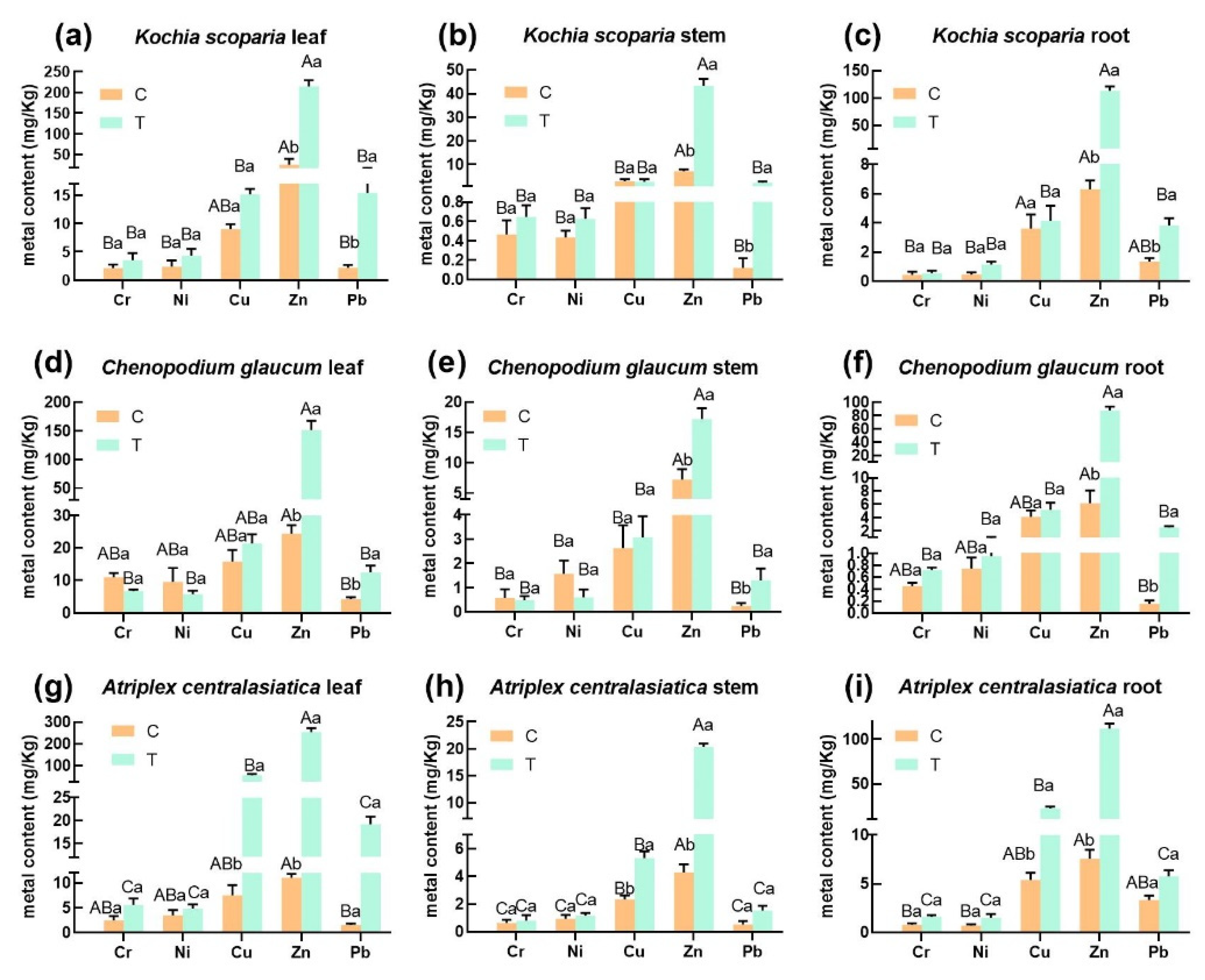Ijerph 19 15873 g001