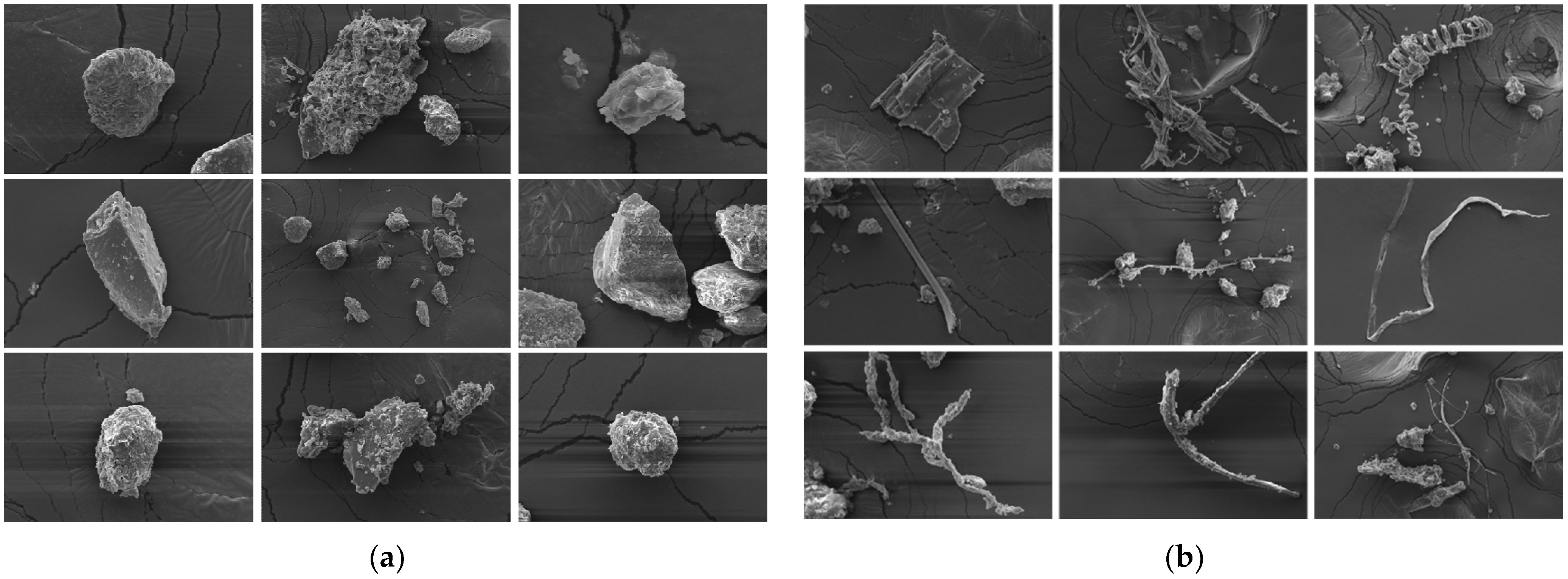 Ijerph 19 15937 g004