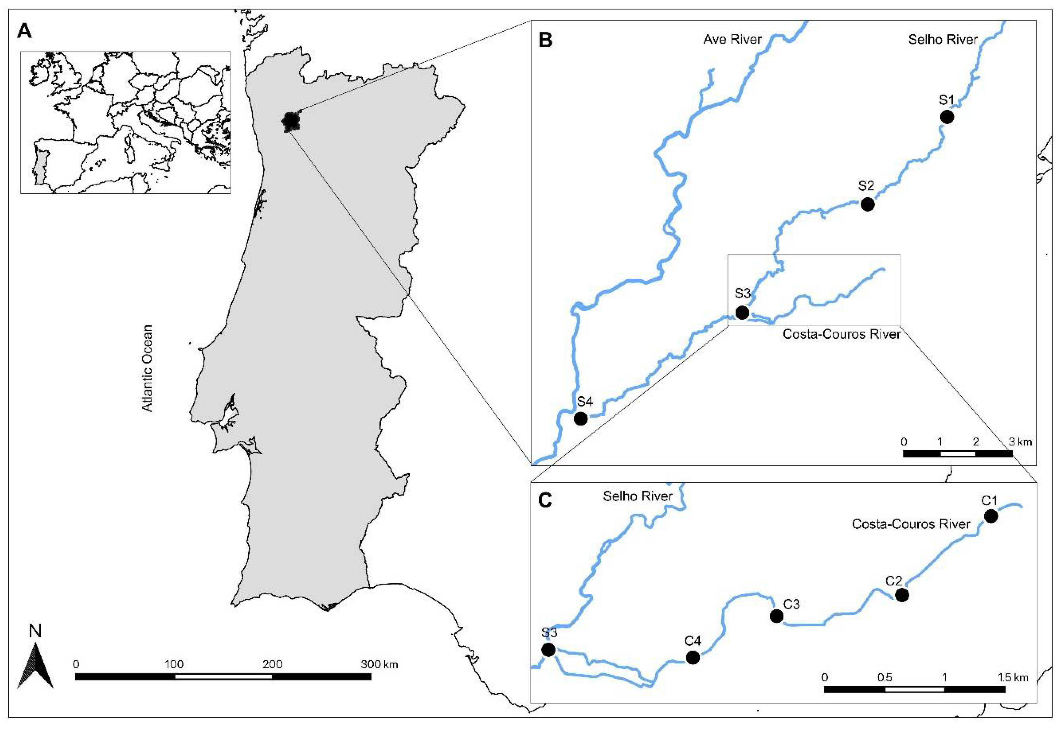 Ijerph 19 15956 g001